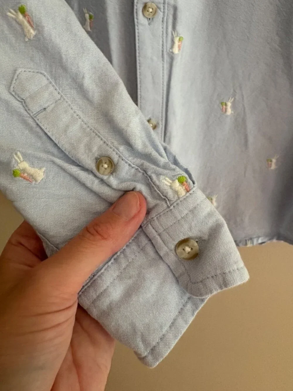 Gymboree Embroidered Easter Bunny Oxford Button Up Boys Size 10 Dress Shirt